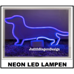 Neon led Lampen